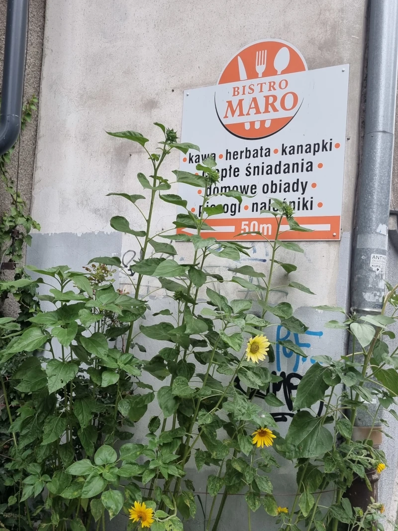 Bistro Maro